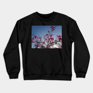 Beautiful summer pink flowers Crewneck Sweatshirt